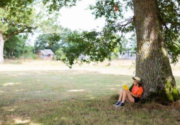 Domaine de l'Oiselière