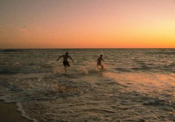 Camping Les Baleines