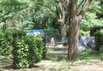 Camping de l'Ardèche ***