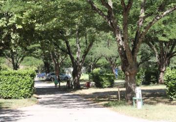 Camping de l'Ardèche ***