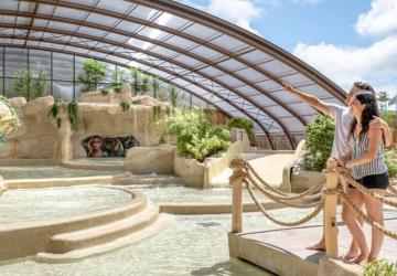 Flower Camping Au Bois Des Biches