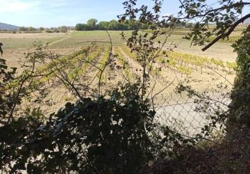 Camping Le Moulin à Vent