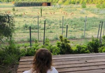 Camping La Grange Neuve - Face à La Réserve Africaine de Sigean