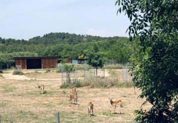 Camping La Grange Neuve - Face à La Réserve Africaine de Sigean