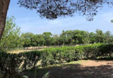 Camping La Grange Neuve - Face à La Réserve Africaine de Sigean
