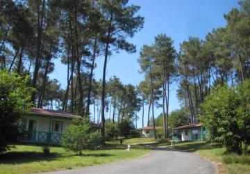 Domaine des Grands Pins