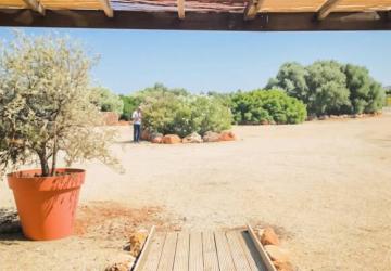 Orris Camp