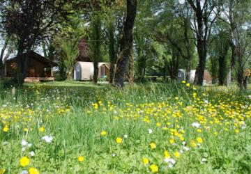 Camping Les Tournesols