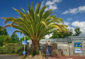 Flower Camping le Kergariou