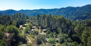 Bivouac nature - Cévennes