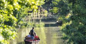 Camping Le Marais Sauvage