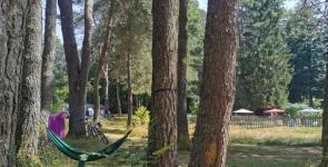 Camping Les Sapins de Correze